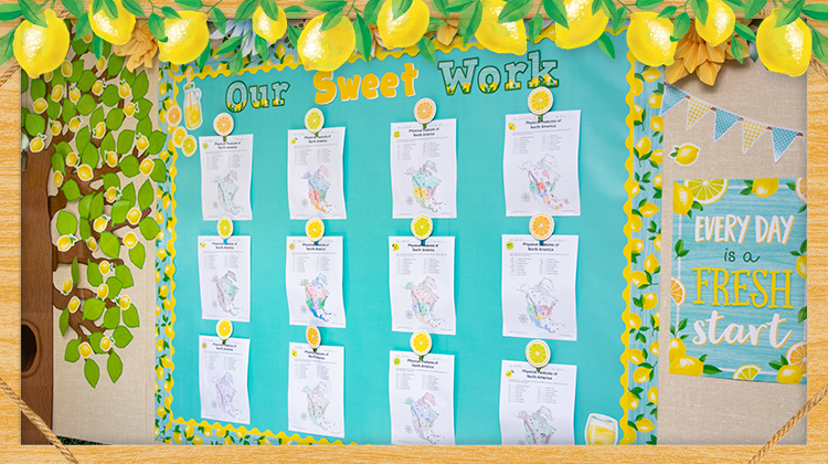 Lemon Zest Collection