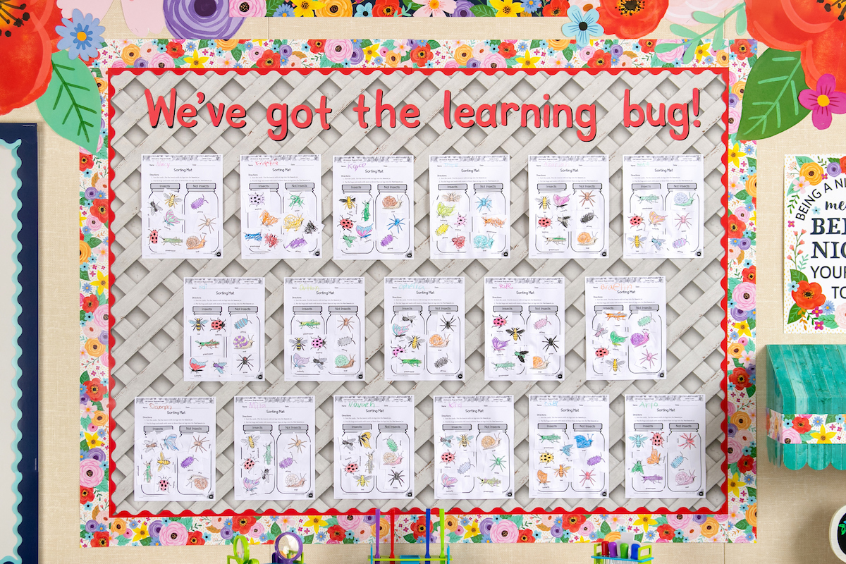 we got the learning bug