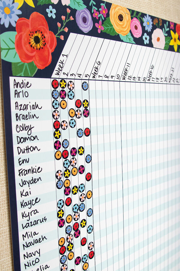 Star Chart