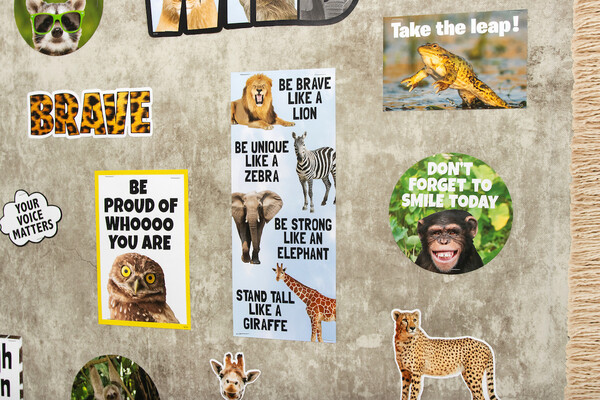 Poster Wall