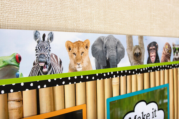 Animals Boarder