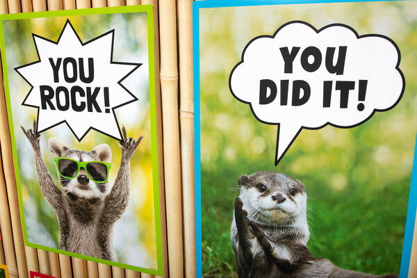 You Rock!
