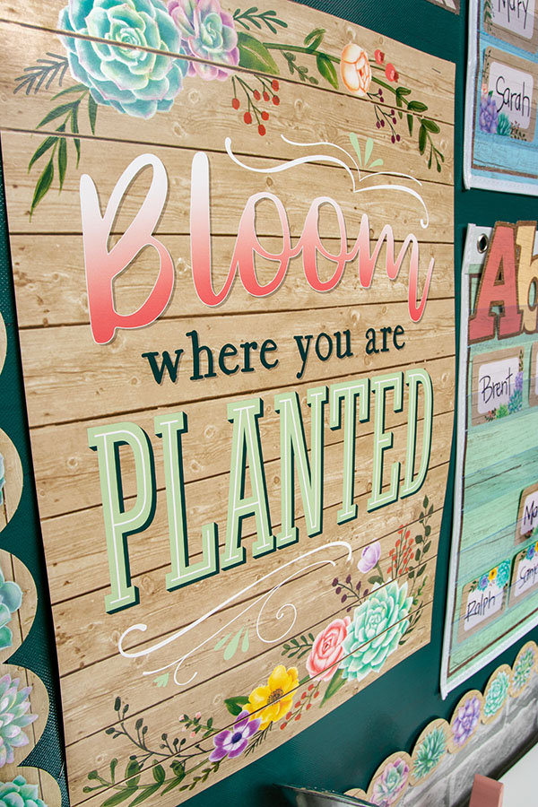 Bloom Where You Are Planted